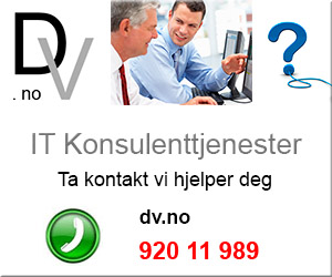 IT Konsulent